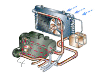 ��������Ŵ�ͼ��