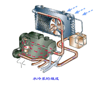 ��������Ŵ�ͼ��