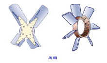 ��������Ŵ�ͼ��