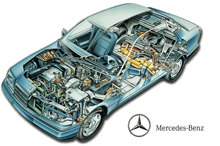 hompgcar.gif (68307 bytes)