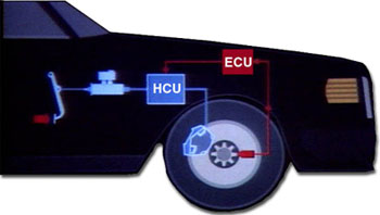 ecu.jpg (19051 bytes)