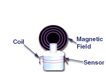 sensor.jpg (22168 bytes)