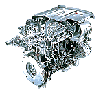 photo03.gif