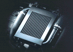 photo12.gif